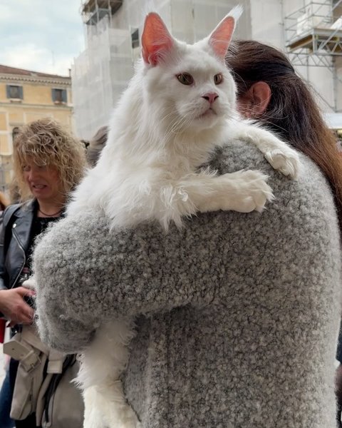 Thumbnail of p-c5i1bzfnsm5-959d660303fe4fc6 0