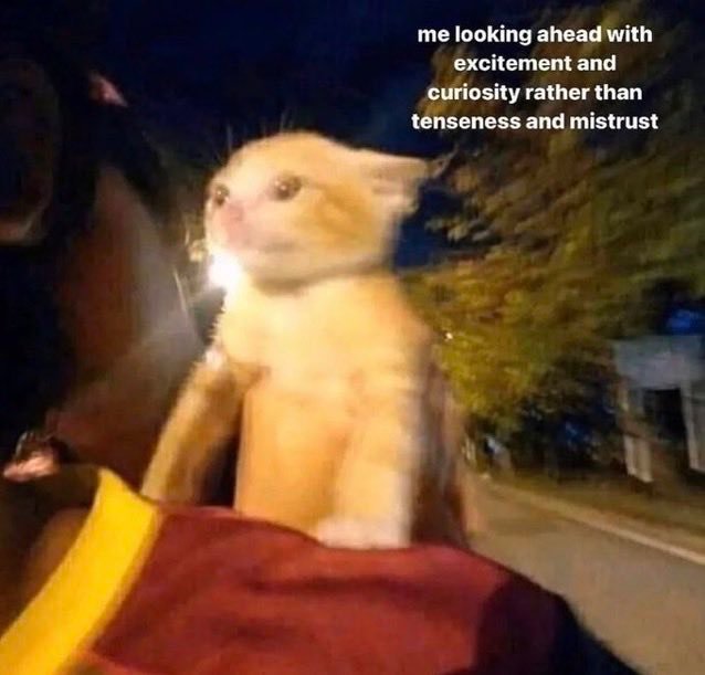 Thumbnail of www-x-com-jackfriks-status-1987914091038642273-95ad19ad84a048e4