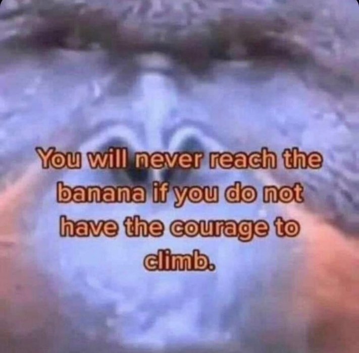 Thumbnail of www-x-com-jackfriks-status-1987914091038642273-95ad19ad84a048e4