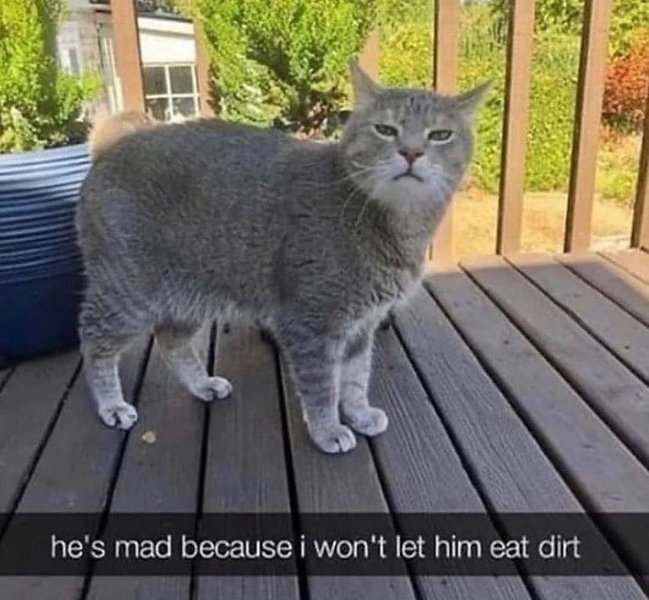 Thumbnail of p-cu8gvqhvmus-95ae8155d2f140d5 0