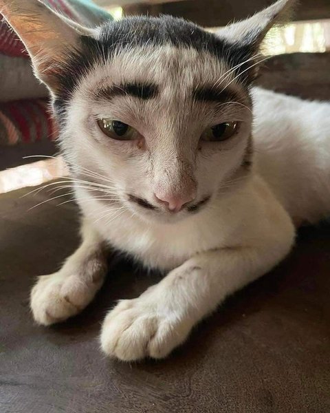 Thumbnail of p-dhkxkisorl-95ca1e4d397140e4 1