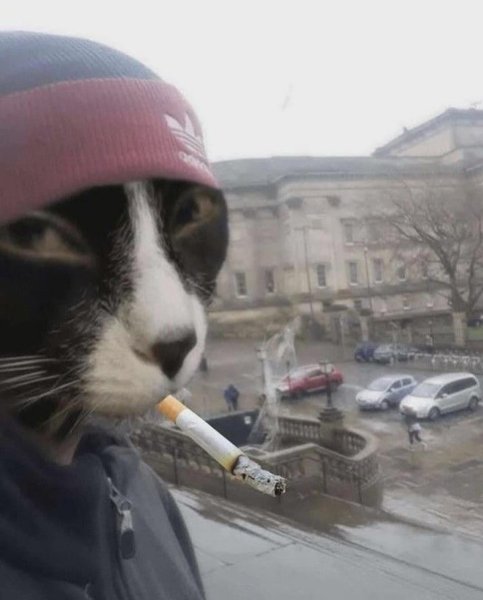 Thumbnail of p-dhkxkisorl-95ca1e4d397140e4 2