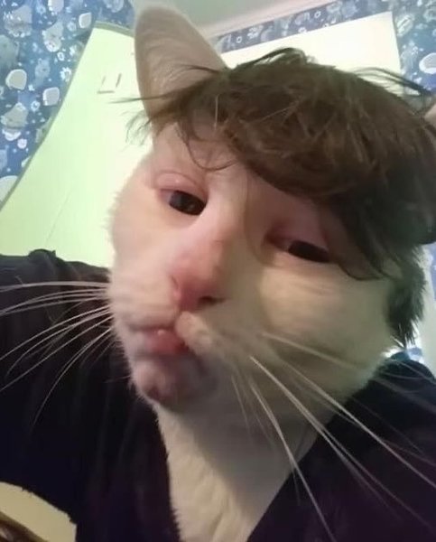 Thumbnail of p-dhkxkisorl-95ca1e4d397140e4 4