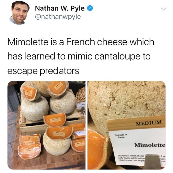 Thumbnail of p-cqocvuudz4m-95cd761bf36a4292 3