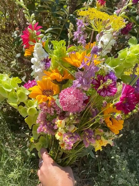 Thumbnail of p-dmfkb4ir0vm-95d503258ab344d9 11