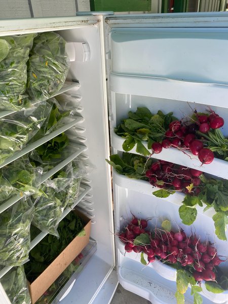 Thumbnail of p-dmfkb4ir0vm-95d503258ab344d9 12