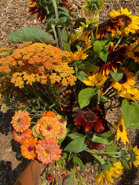 Thumbnail of p-dmfkb4ir0vm-95d503258ab344d9 13