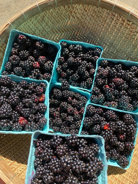 Thumbnail of p-dmfkb4ir0vm-95d503258ab344d9 15