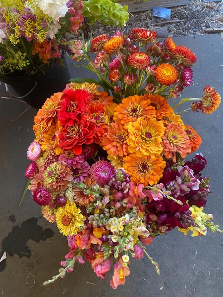 Thumbnail of p-dmfkb4ir0vm-95d503258ab344d9 16