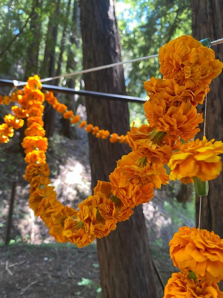 Thumbnail of p-dmfkb4ir0vm-95d503258ab344d9 17