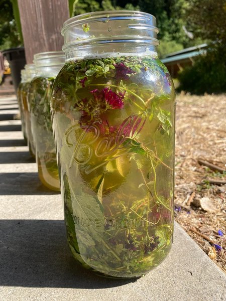 Thumbnail of p-dmfkb4ir0vm-95d503258ab344d9 3