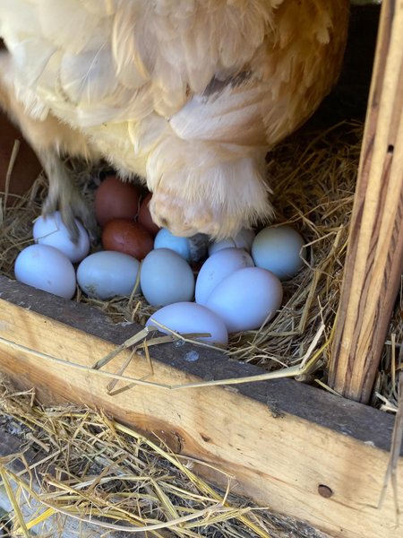 Thumbnail of p-dmfkb4ir0vm-95d503258ab344d9 4