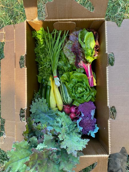 Thumbnail of p-dmfkb4ir0vm-95d503258ab344d9 8