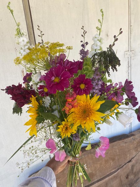 Thumbnail of p-dmfkb4ir0vm-95d503258ab344d9 9