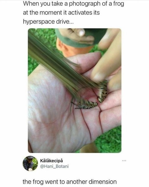 Thumbnail of p-dkffpa7ods4-9603381e68724998 0