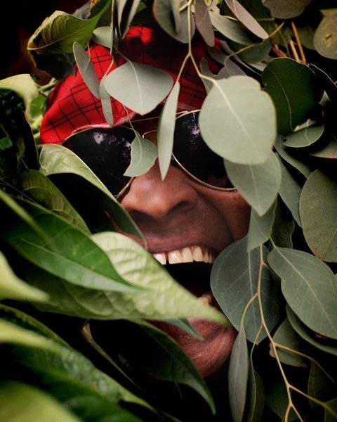 Thumbnail of cd-dofnh42c-96773193237647c4 0