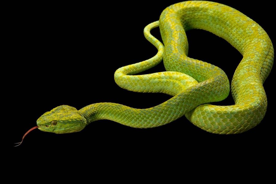 Thumbnail of p-b6aymmsn5kx-970cba64cd6b4285 0