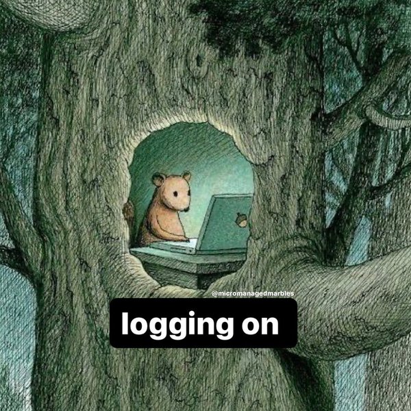 Thumbnail of p-cqvbxsnovam-974add4ee3084b59 0