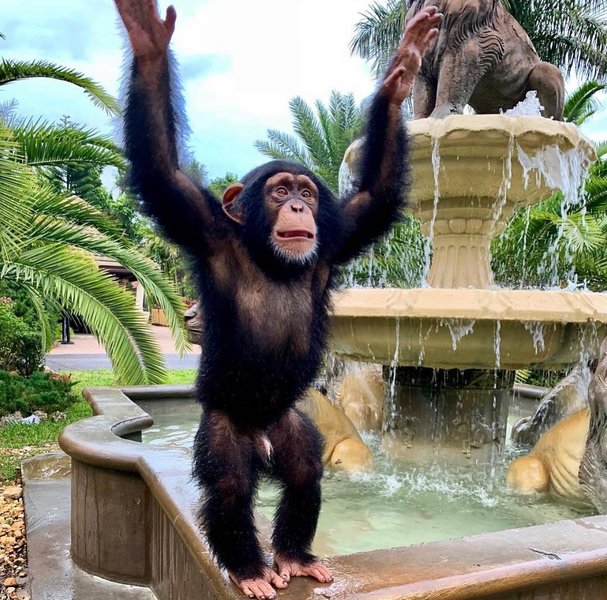 Thumbnail of p-cf23twhdvt4-97904db8a7344856 0