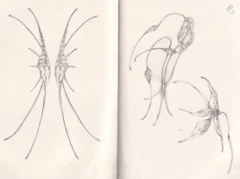 Thumbnail of db9fd3ocb-a-97abdaeaf5224b97 0