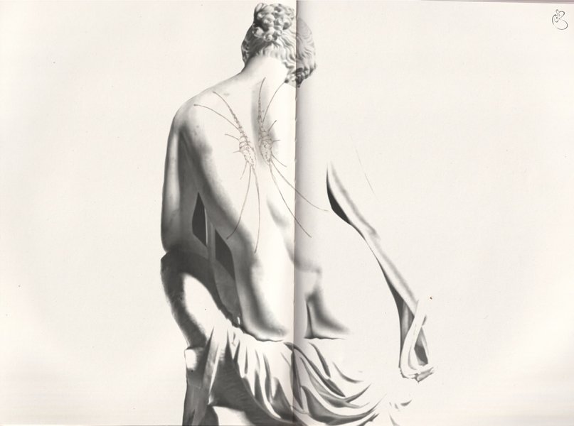 Thumbnail of db9fd3ocb-a-97abdaeaf5224b97 1