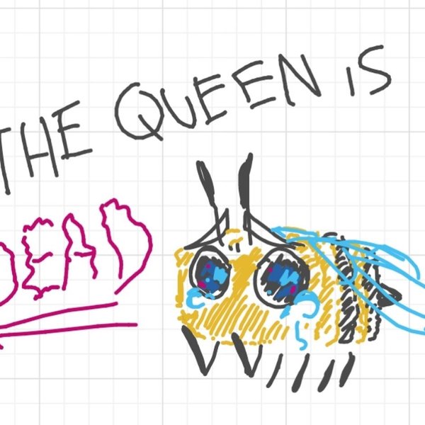 Thumbnail of p-cmfw0frftub-97ac70a7d0e6492f 1