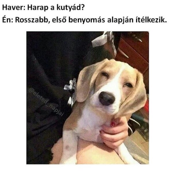 Thumbnail of p-bl5mrilff3d-97ba4c966fde4e9b 0