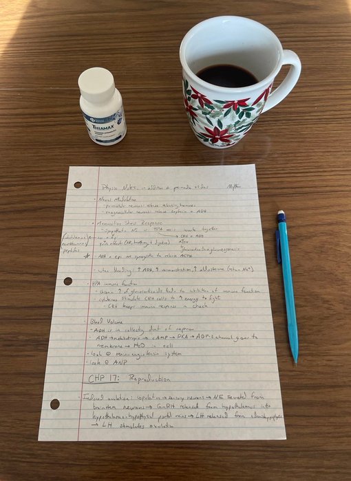 Thumbnail of www-x-com-onlythroughgod-status-1912506141449257377-97eb7dd195b84806