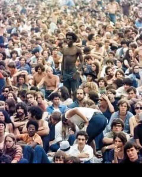 Thumbnail of p-cso9uzxo5jg-97f669747fb84c07 7