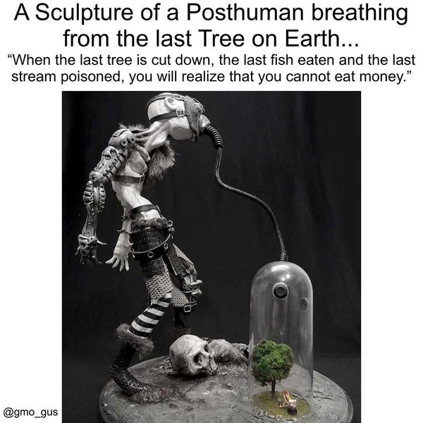 Thumbnail of p-bz1bmvhnvqe-9841b7901c964b21 0