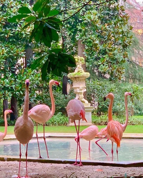 Thumbnail of p-c0r5jsqsemy-9858dbd23350458e 2