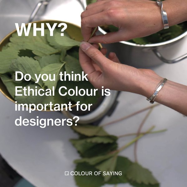 Thumbnail of p-co5iim6lud4-985fec5b5b3d49fc 0