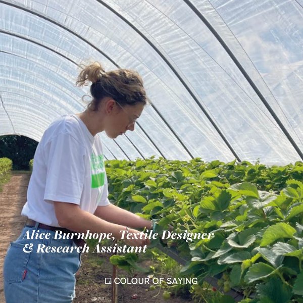 Thumbnail of p-co5iim6lud4-985fec5b5b3d49fc 1