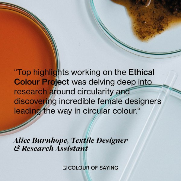 Thumbnail of p-co5iim6lud4-985fec5b5b3d49fc 2