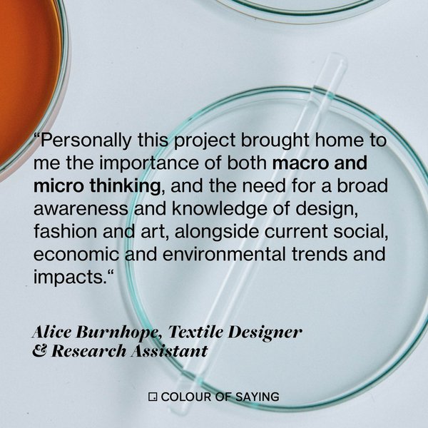 Thumbnail of p-co5iim6lud4-985fec5b5b3d49fc 3