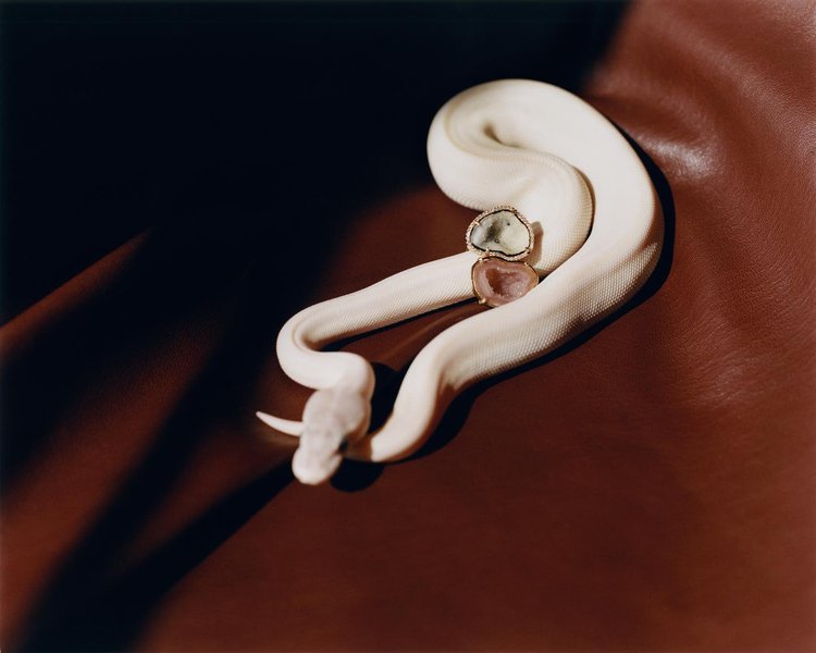 Thumbnail of p-crjm4tmjca8-988cf64005ce478c 0