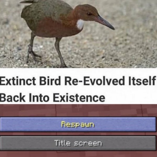 Thumbnail of p-byn7vc1lmf6-988e6dc9548d472f 0