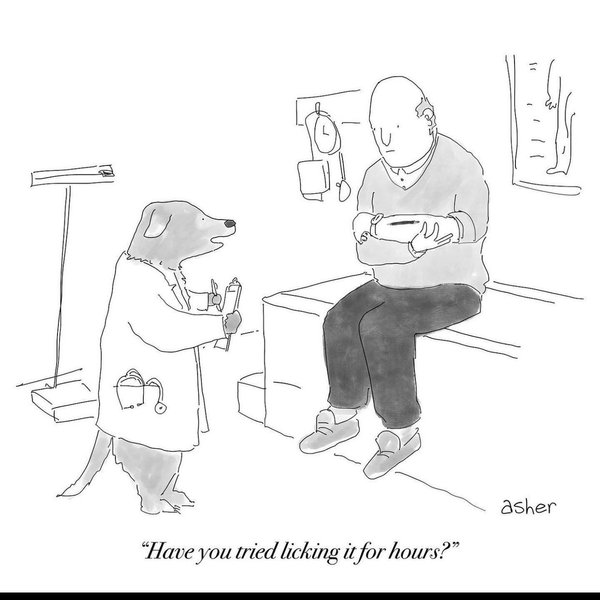 Thumbnail of p-cin87gxjkml-990ac25687c94bf9 4