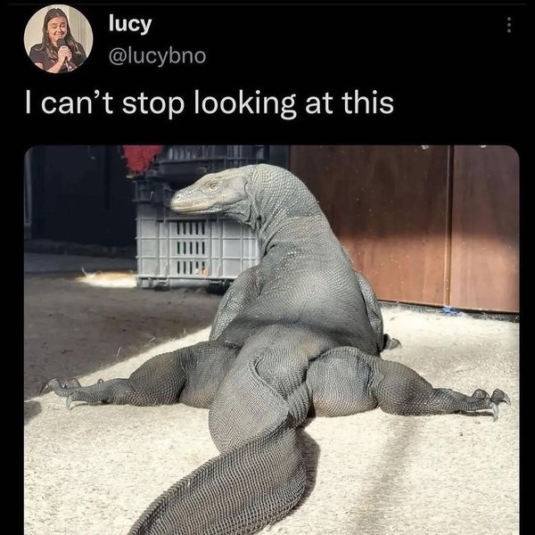 Thumbnail of p-cin87gxjkml-990ac25687c94bf9 5