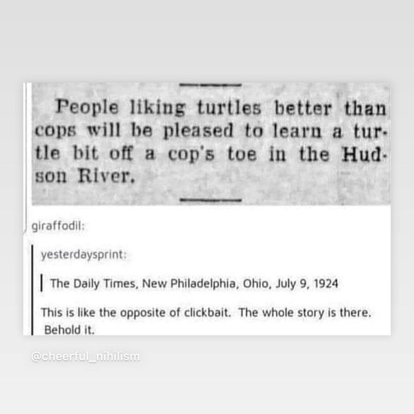 Thumbnail of p-cin87gxjkml-990ac25687c94bf9 6