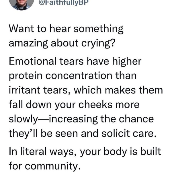 Thumbnail of p-cin87gxjkml-990ac25687c94bf9 8