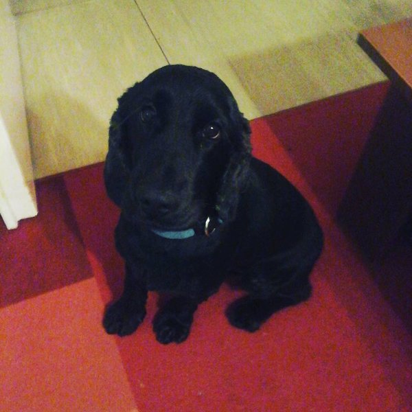 Thumbnail of bp77we-jil7-991b3f4ff71448d3 0