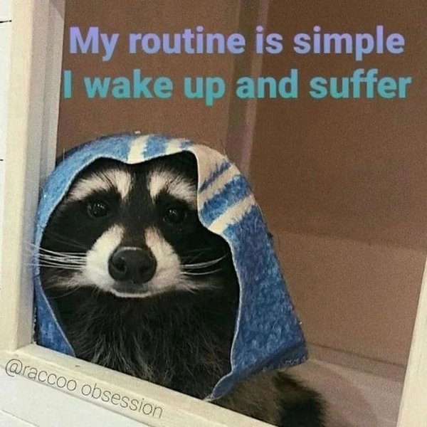 Thumbnail of crqhpq-gu2g-99283dab2f294f94 0