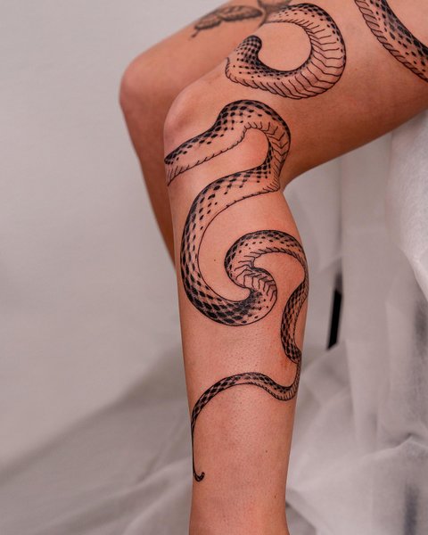 Thumbnail of p-cpixadzjsuc-9952110e32614116 4