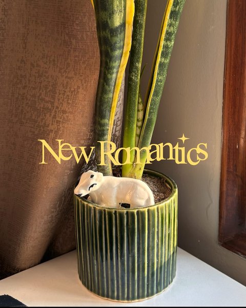 Thumbnail of p-dfyiguwso9z-9961e8d58c1b4a28 2