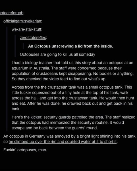 Thumbnail of b329ii-ltfg-99691a2bf3ec4b3a 8