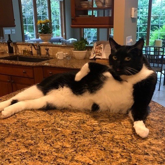 Thumbnail of p-bzjg6lefwba-999f04b1e9d64596 0