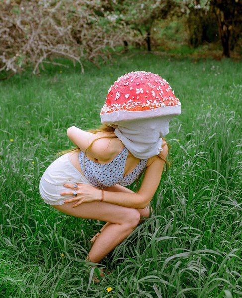 Thumbnail of p-b27qq9rhrob-9a4f4aaa46bc419b 0