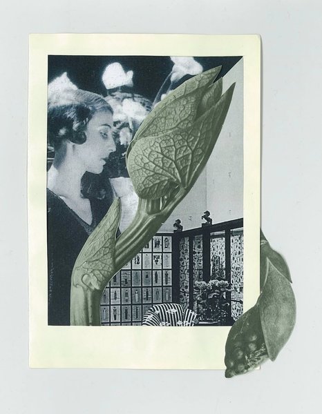 Thumbnail of p-doeccyojii7-9a6123e863974e7d 4