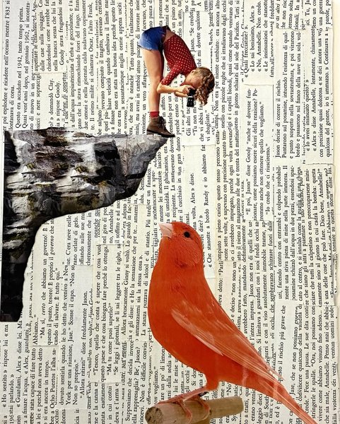 Thumbnail of www-instagram-com-p-dhtbditq5tz 0